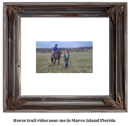 horse trail rides near me in Marco Island, Florida